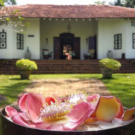 Templeberg Bed & Breakfast Walahanduwa ภายนอก รูปภาพ