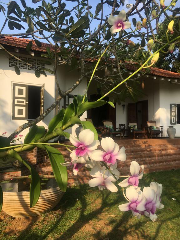 Templeberg Bed & Breakfast Walahanduwa ภายนอก รูปภาพ