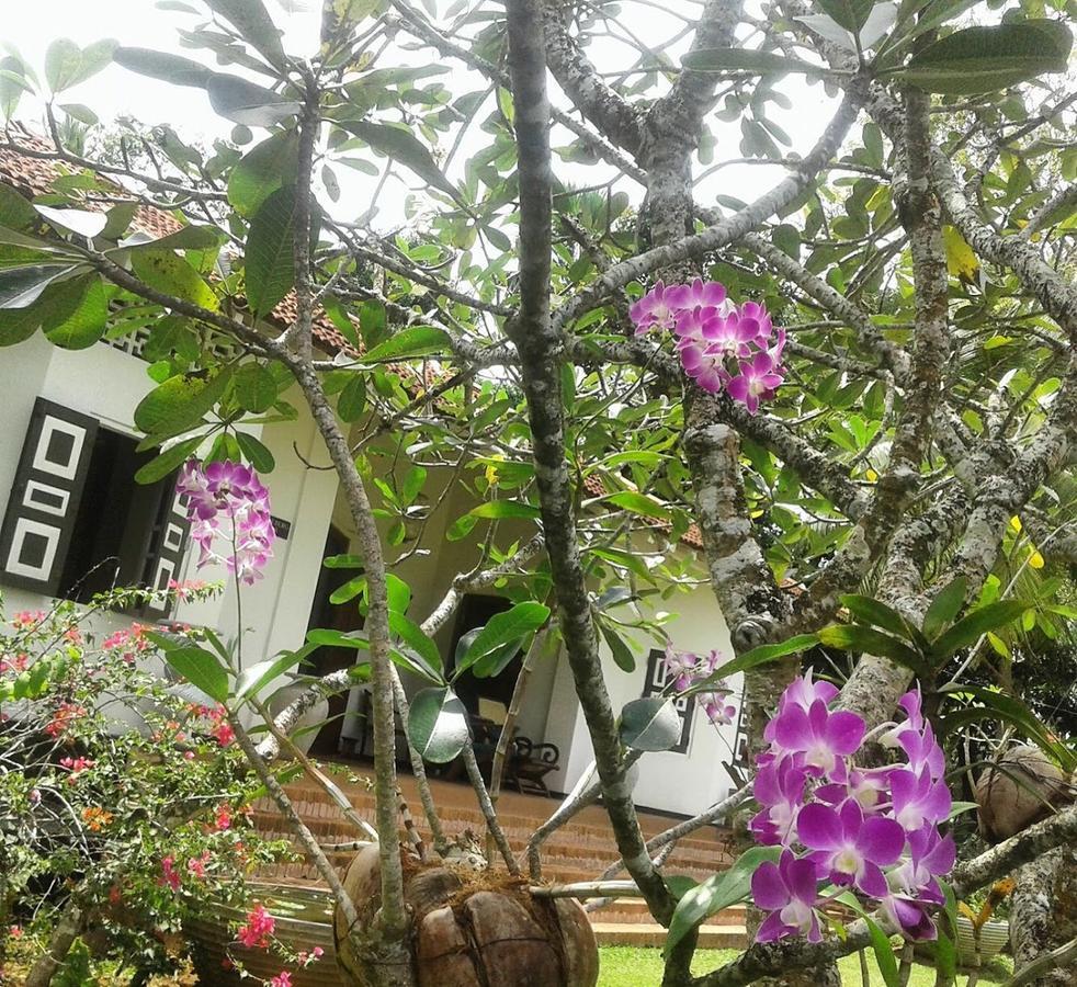 Templeberg Bed & Breakfast Walahanduwa ภายนอก รูปภาพ