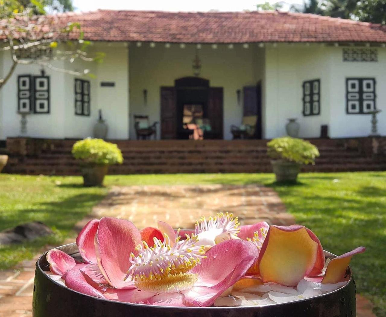 Templeberg Bed & Breakfast Walahanduwa ภายนอก รูปภาพ