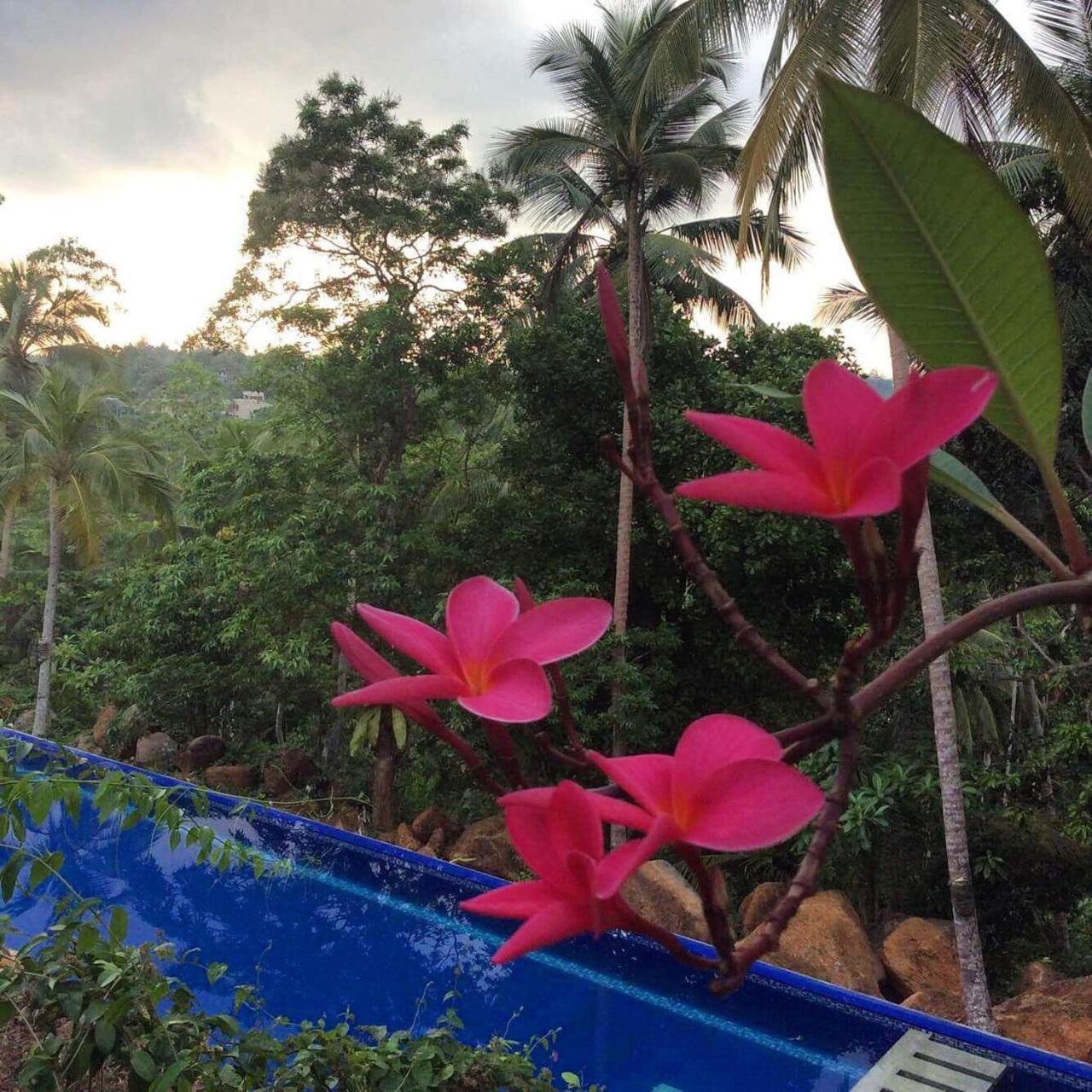 Templeberg Bed & Breakfast Walahanduwa ภายนอก รูปภาพ
